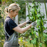 HIRALIY Cucumber Trellis for Climbing Plants Outdoor, 5 ft Tall Metal Garden Trellis, Arch Tunnel for Tomato Grape Vine Vegetables, Plant Support Archway for Garden Raised Bed, Green HIRALIY