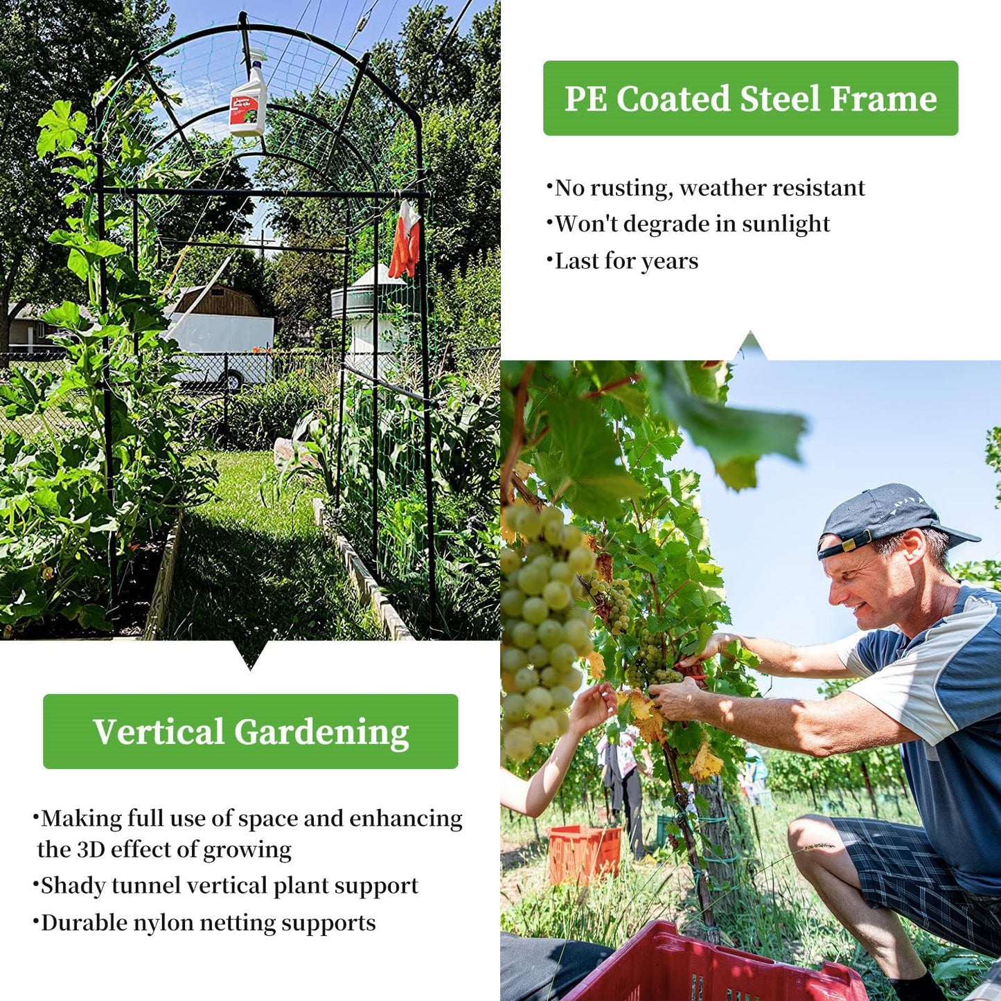 Yotoworth Garden Arch Trellis for Climbing Plants Outdoor, 7 ft Tall Walkway Arbor Tunnel for Vegetables, Squash, Melons, Zucchini, Cucumber Trellis for Garden Raised Bed, Lightweight, Black