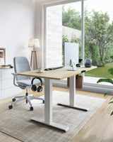 Marsail Standing Desk with Drawer, 48x24 Inch Adjustable Height Standing Desk, Electric Stand up Desk, Sit Stand Home Office Desk, Ergonomic Workstation for Home Office Computer Gaming Desk Maple Marsail