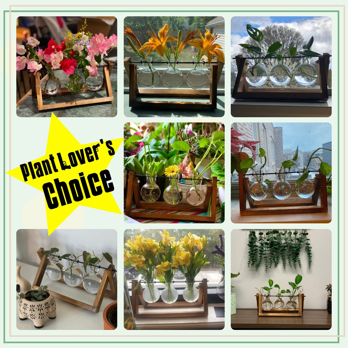 XXXFLOWER Plant Terrarium with Wooden Stand, Air Planter Bulb Glass Vase Metal Swivel Holder Retro Tabletop for Hydroponics Home Garden Office Decoration - 3 Bulb Vase XXXFLOWER
