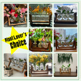 XXXFLOWER Plant Terrarium with Wooden Stand, Air Planter Bulb Glass Vase Metal Swivel Holder Retro Tabletop for Hydroponics Home Garden Office Decoration - 3 Bulb Vase XXXFLOWER