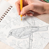 TPLHOUSE Beautiful Birds Coloring Book Spiral Bound for Adults, Premium Cover, 30 Serene Coloring Pages of Tropical Birds for Stress Relief and Relaxation TPLHOUSE