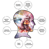 AQUARIUS Random Galaxy Cat Pizza Puzzle(500 Piece Jigsaw Puzzle)-Officially Licensed Galaxy Merchandise&Collectibles-Glare Free-Precision Fit-Virtually No Puzzle Dust-16x20 Inches,Multicolor,62522 AQUARIUS