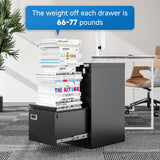 BYNSOE 2 Drawer File Cabinet with Lock Metal Vertical Filing Storage Cabinet Office Home Steel Vertical File Cabinets for A4 Legal/Letter Size Narrow File Cabinet Locked,Assembly Required BYNSOE