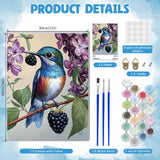 DOMROM Framed Paint by Numbers Kit for Adults Beginners with Wooden Easel, DIY Hummingbird Paint by Number Kit on Canvas, DIY Oil Painting Kits for Home Wall Decor Gift 12x16inch DOMROM