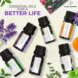 Essential Oils Set by Pure Aroma - Top 6 Aromatherapy Oils Gift Set-6 Pack, 10ml (Eucalyptus, Lavender, Lemongrass, Sweet Orange, Peppermint, Tea Tree) Pure Aroma