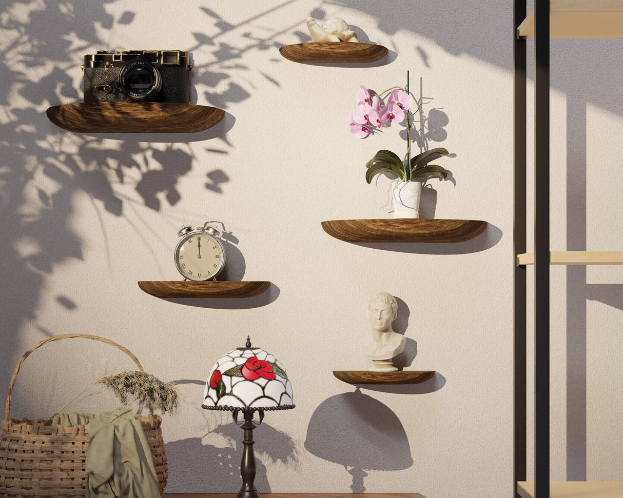 QsQueen Solid Wood Half Round Floating Wall Shelves | Elegant Floating Shelves, Elevate Your Space. Perfect for Living Rooms, Bathrooms, Bedrooms, Offices, Children's Rooms QsQueen