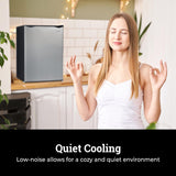 Igloo 2.6 Cu.Ft. Compact Refrigerator with Freezer, 2 Shelfs, Perfect for Homes, Offices, Dorms, Platinum Igloo