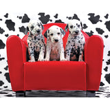 RoseArt - Kodak Premium - Lots of Spots - 100 Piece Jigsaw Puzzle for Adults RoseArt