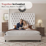 AMERLIFE Queen Size Bed Frame with 60" Tall Wingback Headboard, Velvet Upholstered Platform, Button Tufted Sleigh Design, No Box Spring Needed,Cream AMERLIFE