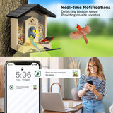 TT Nature Bird Feeder with Camera, Upgraded 1.5L Smart Bird Feeder with AI Identify for 10000 Plus Bird Species, Auto Capture Bird & Real-time Notifications, Ideal Gift for Bird Lovers (Iron Roof) TT Nature