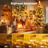 Minetom 328 Ft 1000 LED Christmas Tree Lights Outdoor Indoor String Lights with 8 Modes Waterproof Twinkle Xmas Light with Remote, Plug in Rice Lights for Tree Room Yards Patio Christmas Decorations Minetom