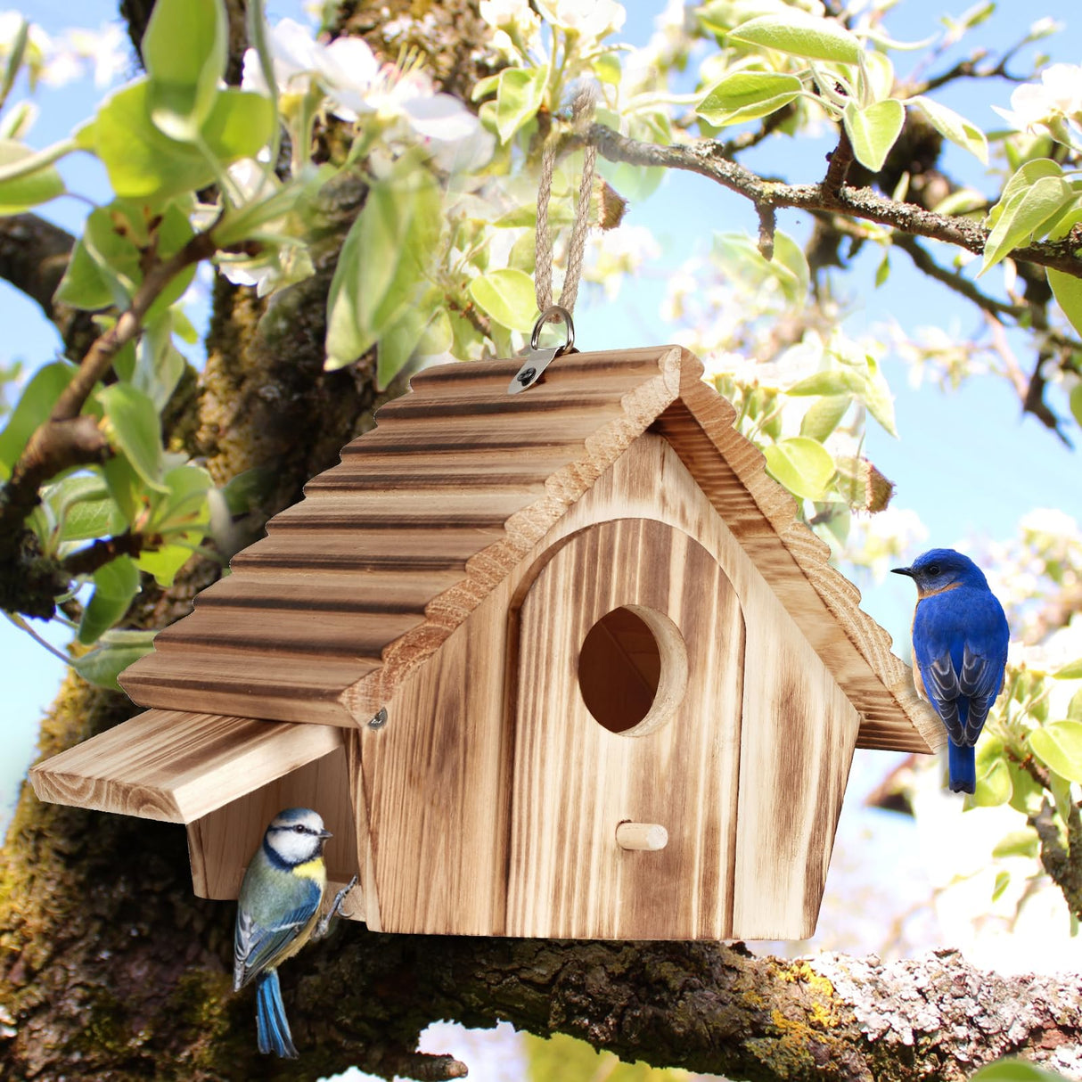 NATUREYLWL Bird House for Outside - Hanging Outdoor Birdhouse - Natural Wood Bird Nesting Box for Bluebirds, Hummingbirds, Finches, Wrens, Cardinals - Easy to Clean & Durable Garden Bird Shelter NATUREYLWL