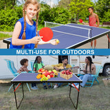 Small Mini Ping Pong Table, Portable Indoor Outdoor Folding Table Tennis Table with 2 Paddles, 3 Balls and Net Generic