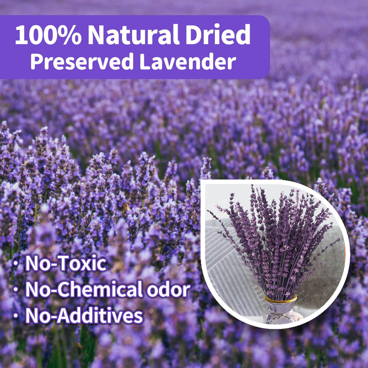 Dried Purple Lavender Flowers Bundle-Dried Preserved Lavender Bouquet 15-17" for Shower Weeding Home Vase Decor, Crafts, Aromatherapy, Fragrance, Fresh Silk Dry Live Plants, 50g(1.76oz) Glicrili