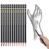 RVOGJP TAMATA Professional Drawing Sketching Pencil Set - 12 Pieces Art Graphite Pencils(12B - 4H), Ideal for Drawing Art, Sketching, Shading, for Beginners & Pro Artists RVOGJP