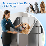 Flying Pig 50" Stainless Steel Professional Electric Lift Pet Grooming Tub Flying Pig Grooming