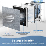2 Pack Vital 100 True HEPA Replacement Filter Compatible with LEVOIT Vital 100 Air Purifier, H13 and High-Efficiency Activated Carbon Set, Part Number 100-RF LINNIW