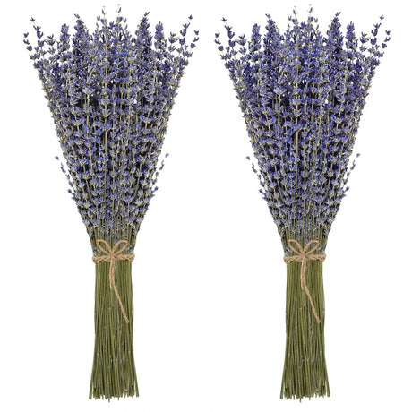 Timoo Dried Lavender Bundles 100 Natural Dried Lavender Flowers for Home Decoration, Photo Props, Home Fragrance, 2 Bundles Pack Timoo