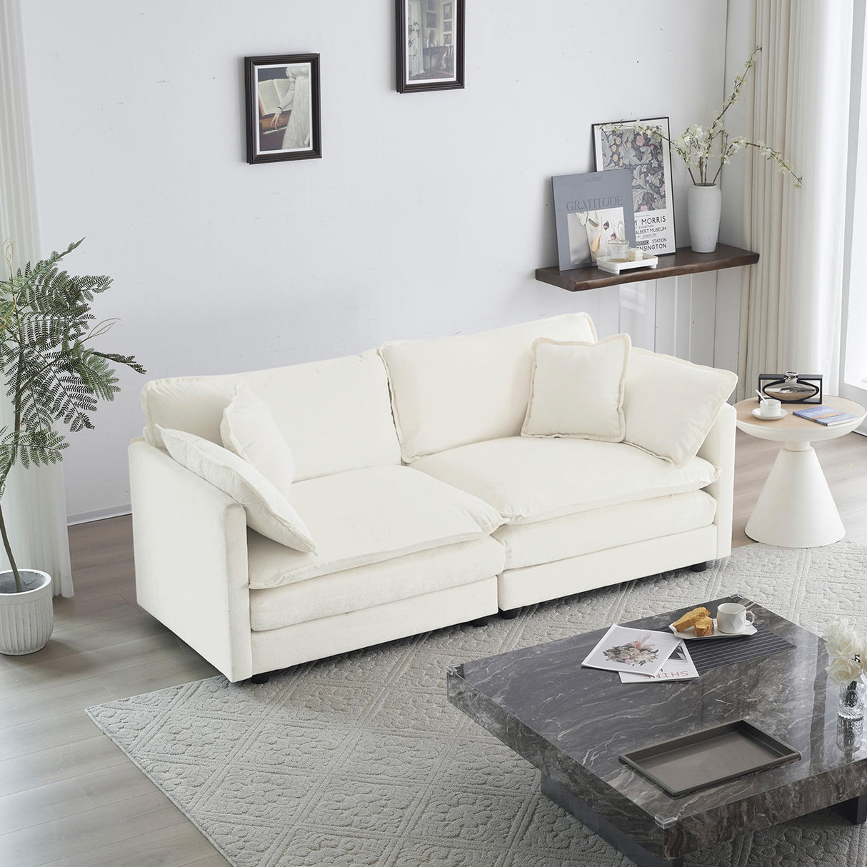 Tmsan 2 Piece Chenille Cloud Couches Set, Modern Deep Seat Loveseat and Single Sofa Chair Set Living Room Furniture Set for Bedroom Apartment Office Tmsan