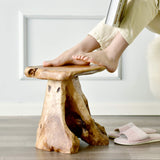 WELLAND Tree Stump Stool Live Edge, Natural Edge Side Table, Plant Stand, Nightstand, Mushroom Stool 14" Tall WELLAND
