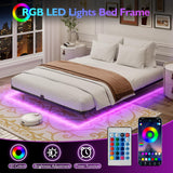 Floating Bed Frame Queen Size with LED Lights Metal Platform Bed No Box Spring Needed Easy to Assemble (Queen (U.S. Standard)) FSJianYi