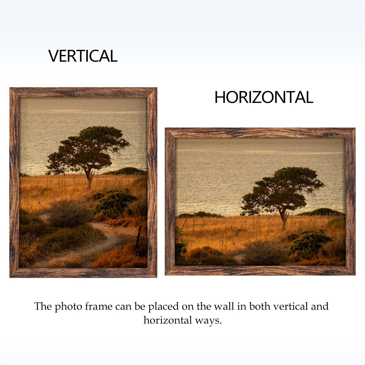 Fisnish 12x16 Picture Frame Brown, Classic Poster Frame for Horizontal or Vertical Wall Mounting, 1 Pack Fisnish