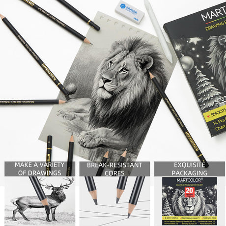 MARTCOLOR Drawing Sketching Pencil Set, 20 Pieces, Graphite Pencils (14B-4H), Charcoal Sticks, Stump, Eraser, Sharpeners, Ideal for Drawing Art, Sketching, Artist Pencils for Beginners & Pro Artists MARTCOLOR