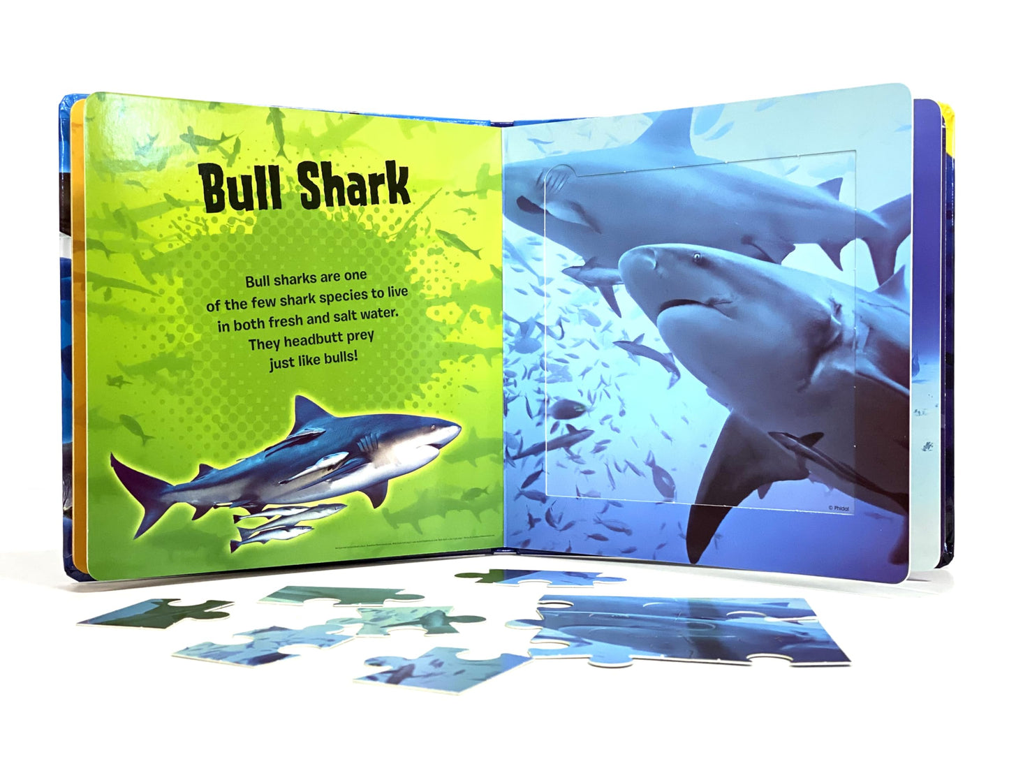 Phidal World of Sharks My First Puzzle Book - Jigsaw Puzzles for kids, 10-page board book, 5 puzzles to enjoy