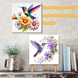 TCDZMYGS 4 Pack Paint by Numbers Kit for Adults Beginner, Hummingbird Butterfly Easy Paint by Number Kits with Framed, Flowers DIY Acrylic Oil Painting by Numbers for Home Wall Decor 10 x 10 inch TCDZMYGS