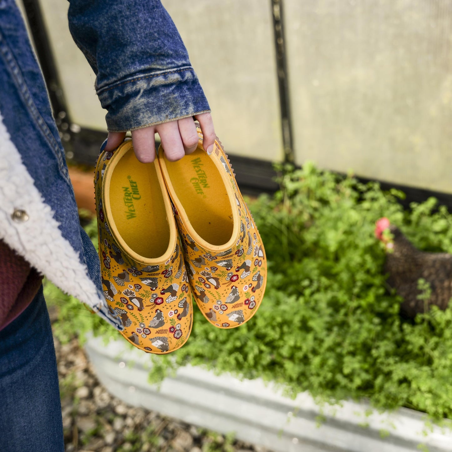 Western Chief Womens Waterproof Clog with Neoprene Lining and Rubber Outsole - Perfect for Garden and Outdoor Wear, Folk Chickens, 7