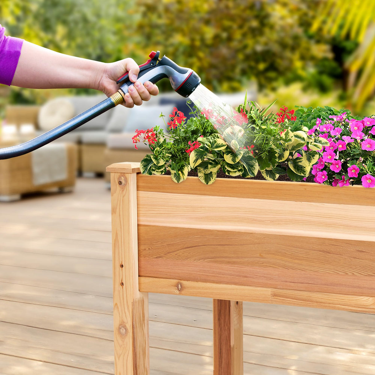 Jumbl Raised Canadian Cedar Garden Bed | Elevated Wood Planter for Growing Fresh Herbs, Vegetables, Flowers, Succulents | 34x18x30” Jumbl