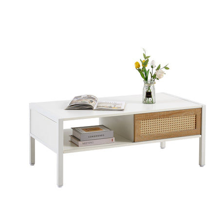 Modern Rattan Coffee Table with Sliding Door HouseOfZazla