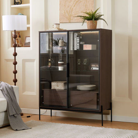 Modern Minimalist Style LED Curio Cabinet With Tempered Glass Door, Metal Legs HouseOfZazla