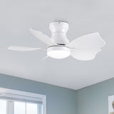 Low Profile Flush Mount Ceiling Fan With Light