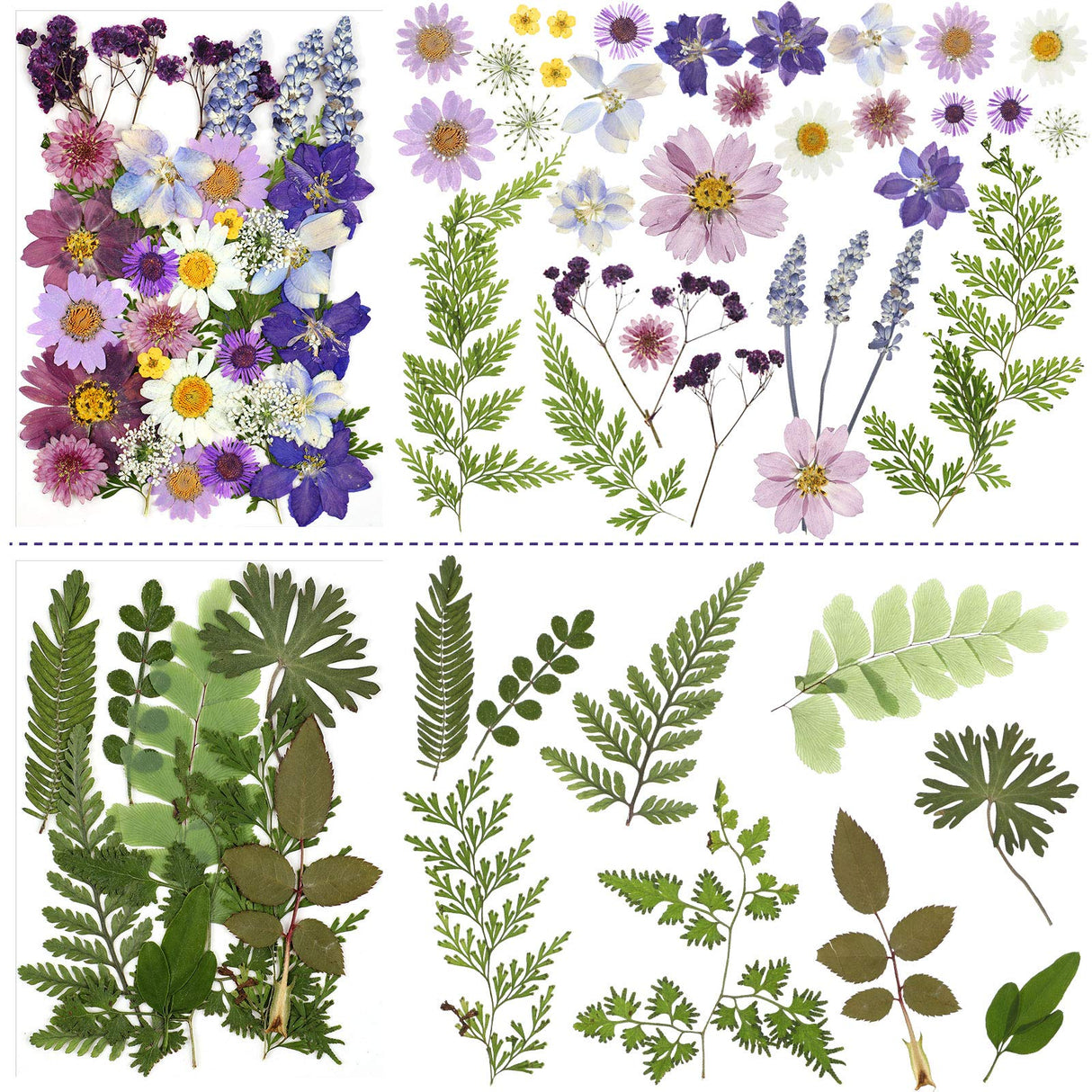 Nuanchu Pressed Flowers Bulk Dried Flower for Crafts, Dried Flower Leave Natural with Tweezer for Resin Mold Scrapbooking DIY (Classic Style) Nuanchu