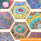 Ginfonr Diamond Painting Kits Hanging Pendant, Tiger Sun Catcher for Front Door Sign, Animal Rhinestone Diamond Decor for Porch, Double Sided Home Hanging Kits for Garden Wall Window (8 x 8inch) Ginfonr