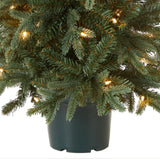 National Tree Company Artificial Christmas Tree For Entrances | Includes White Lights and Pot | Everyday Collections - 3 ft National Tree Company