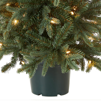 National Tree Company Artificial Christmas Tree For Entrances | Includes White Lights and Pot | Everyday Collections - 3 ft