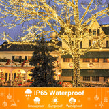 2 Pack Christmas Lights Outdoor, Total 200FT 600LED Christmas Tree Lights with 8 Modes Waterproof, Green Wire String Lights for Outside Patio Yard Tree Wedding Holiday Decorations, Warm White Nielfoi