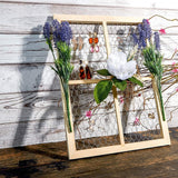 Bright Creations Unfinished Wood Window Frame with Chicken Wire Mesh (12 x 16 in, 2 Pack) Bright Creations