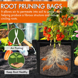 Gardzen 10-Pack 10 Gallon Grow Bags, 300G Thickened Aeration Fabric Pots with Handles, Heavy Duty Cloth Pots for Plants Gardzen