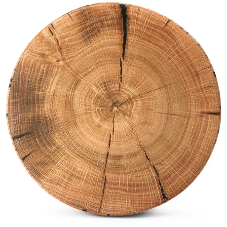 Sorbus Tree Stump Stool, Toy Storage Ottoman 15 Inch Fake Tree Stumps Log Stool Storage, Artificial Tree Trunk, Perfect Footstool Kids Toy Chest, Rustic Log Cabin Decor Bench, Pedestal (2 Pack) Sorbus