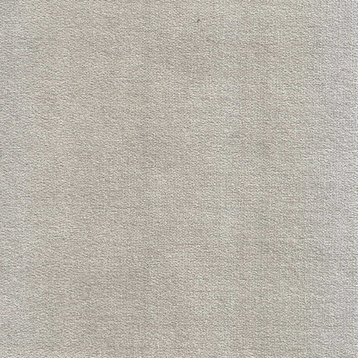 Rosevera Harris Velvet Upholstered Club Chair 34.5”H, Barrel Chair, Wingback Tufted Button Armchair, Contemporary Nailhead Accent Chair for Living Room, Bedroom, Recreation Room, Entryway, Small Space Rosevera