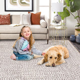 ROYHOME 8x10 Area Rug Machine Washable Rug for Living Room Print Braided Accent Rug Stain Resistant Non-Slip Carpet Farmhouse Solid Printed Textured Floor Cover for Home Decor, Beige/Grey ROYHOME