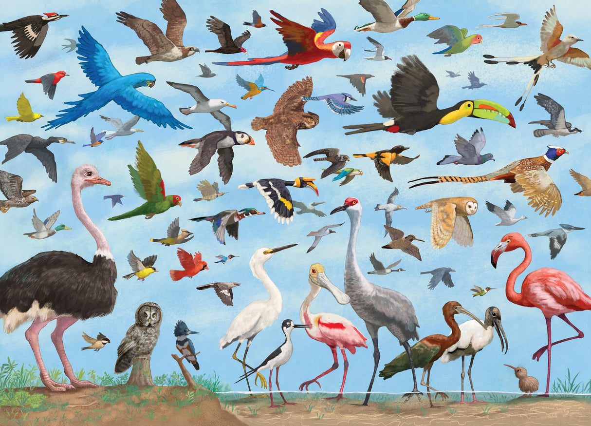 PETER PAUPER PRESS All The Birds 1000 Piece Jigsaw Puzzle PETER PAUPER PRESS