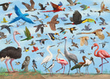 PETER PAUPER PRESS All The Birds 1000 Piece Jigsaw Puzzle PETER PAUPER PRESS
