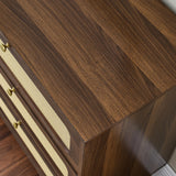 NicBex Rattan Dresser for Bedroom with 6 Drawers,Modern Cannage Rattan Wood Closet Chest of Drawers,Rattan Storage Dresser for Closet, Bedroom,Living Room,Hallway,Natural Walnut NicBex