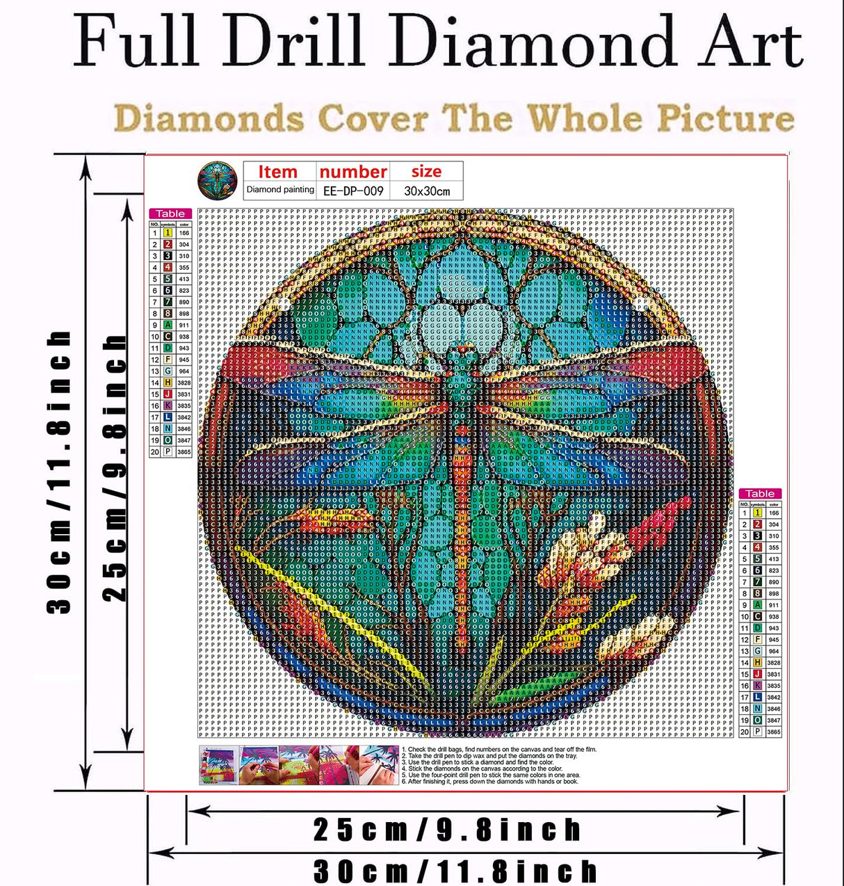 EIBEILI Dragonfly Diamond Art Painting Kits for Adults - Full Drill Diamond Paintings for Beginners, Round 5D Paint with Diamonds Pictures Gem Art Painting Kits DIY Adult Crafts Kits 12x12inch EIBEILI