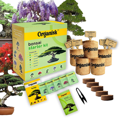 Bonsai Starter Kit - 5 Unique Tree Types, Special DIY Garden Hobby Kits - Great for Plant Lovers, for Kids, Men, Women, and Bonsai Enthusiasts